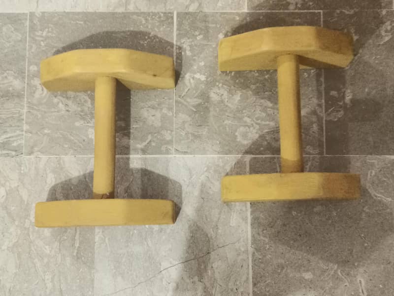 Parallettes 3