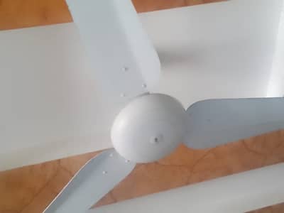 2 years used Ceiling Fans 4
