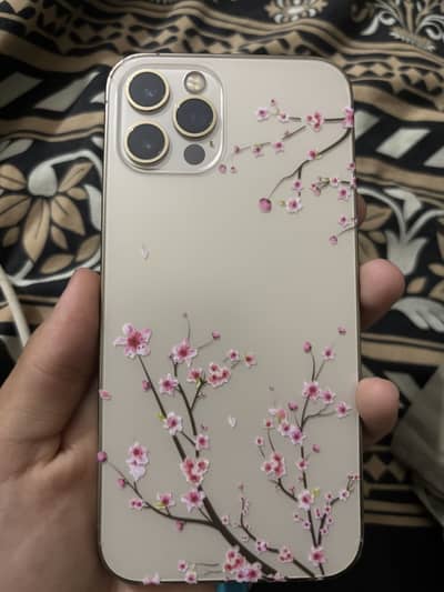IPhone 12 pro FU