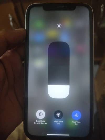iphone xr white