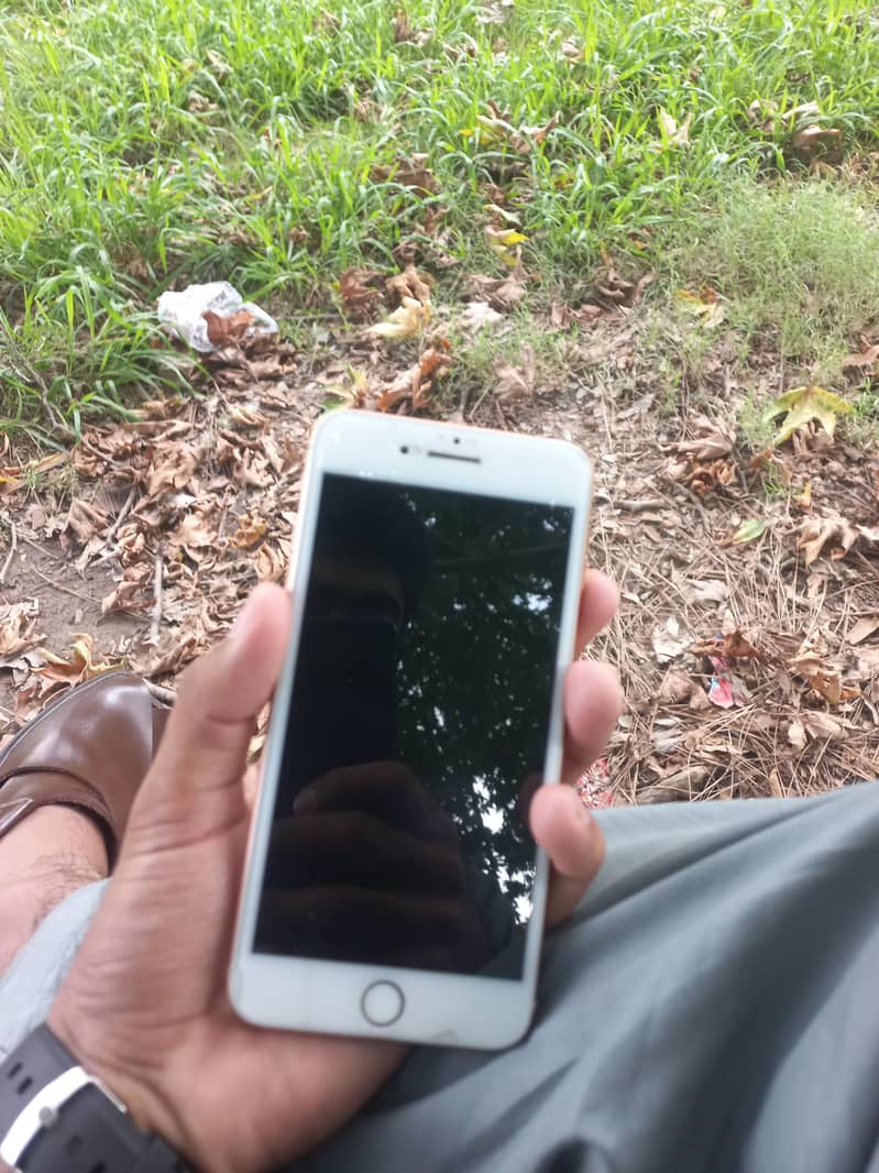 Apple iPhone 8 Plus 3