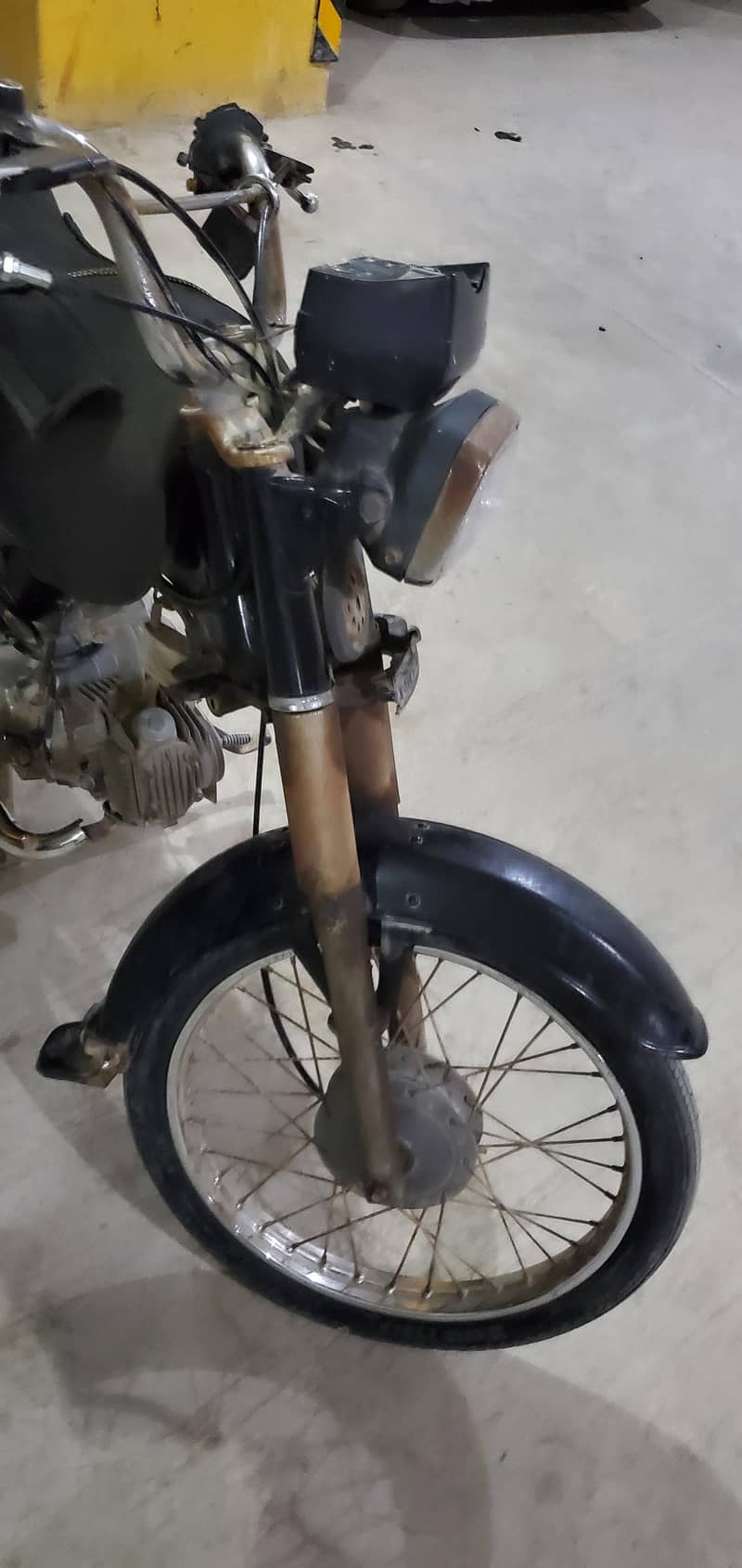 Unique 2019 4