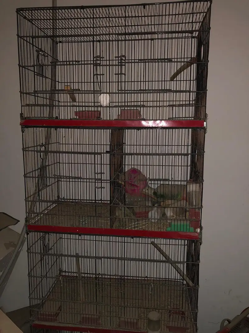 Best Cage Forsale — photo 3