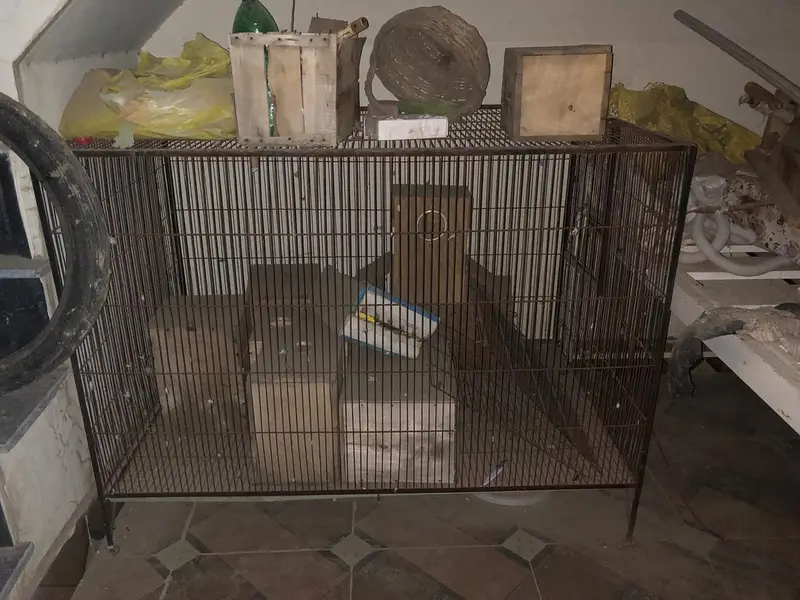 Best Cage Forsale — photo 4