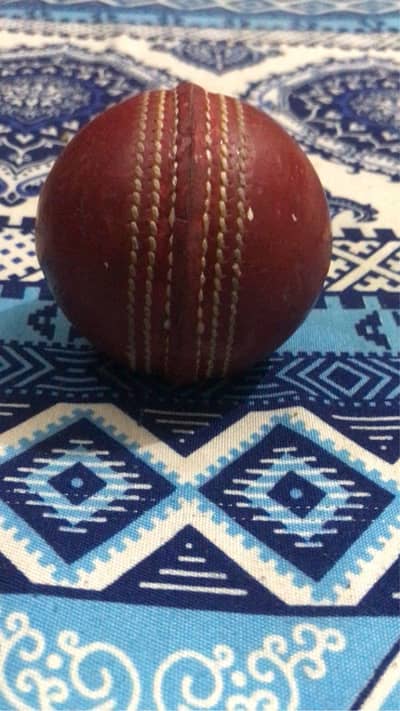 hard boll bat