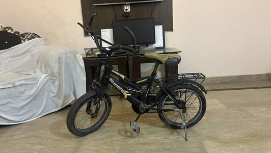 Phoenix bicycle