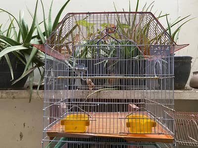 Big parrot cage with two food bowls good condition