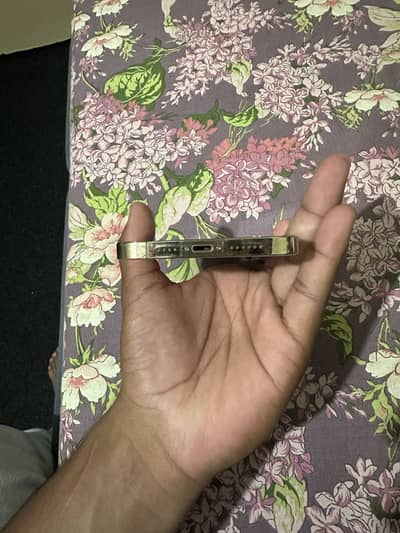Iphone 12 pro max 128 gb pta approved