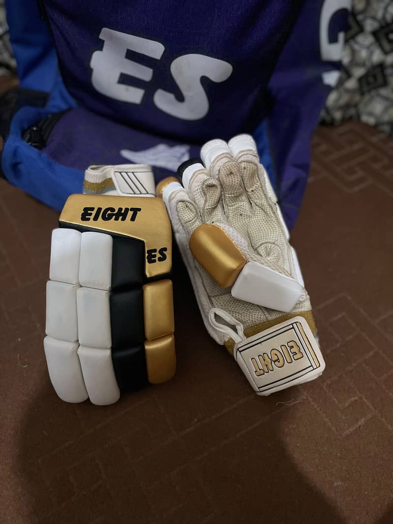 Cricket kit 1