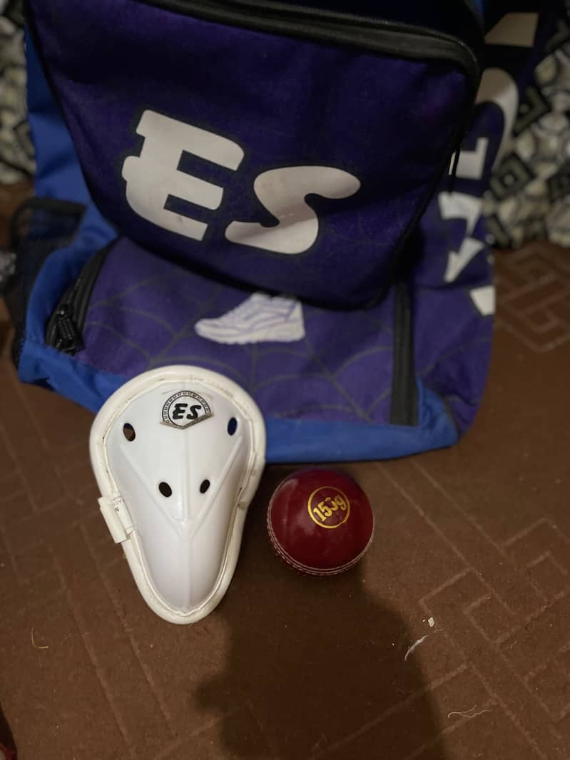 Cricket kit 6