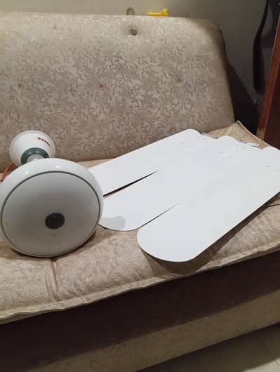 Royal fan 100% Copper