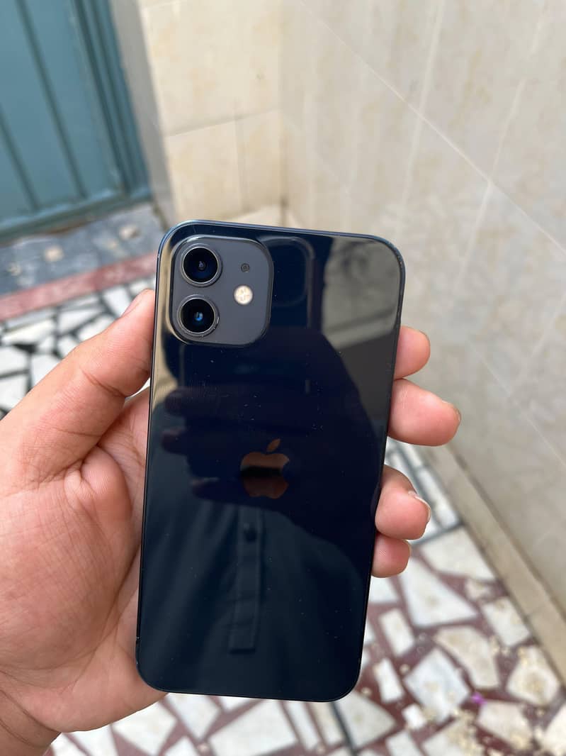 Apple iPhone 12 1