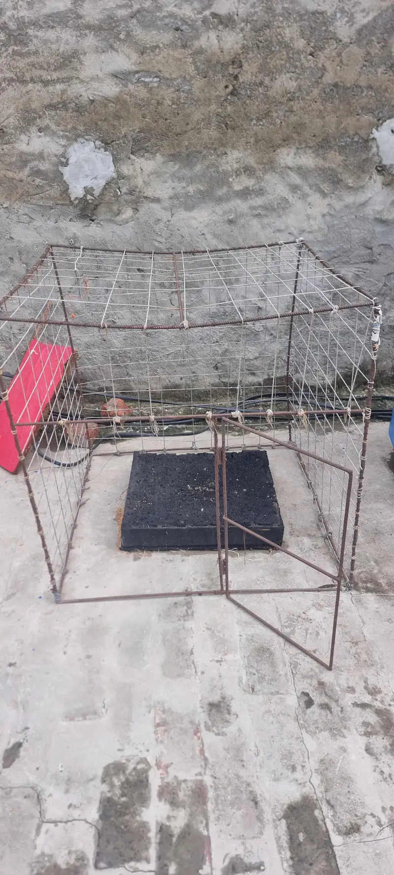 iron cage — photo 2