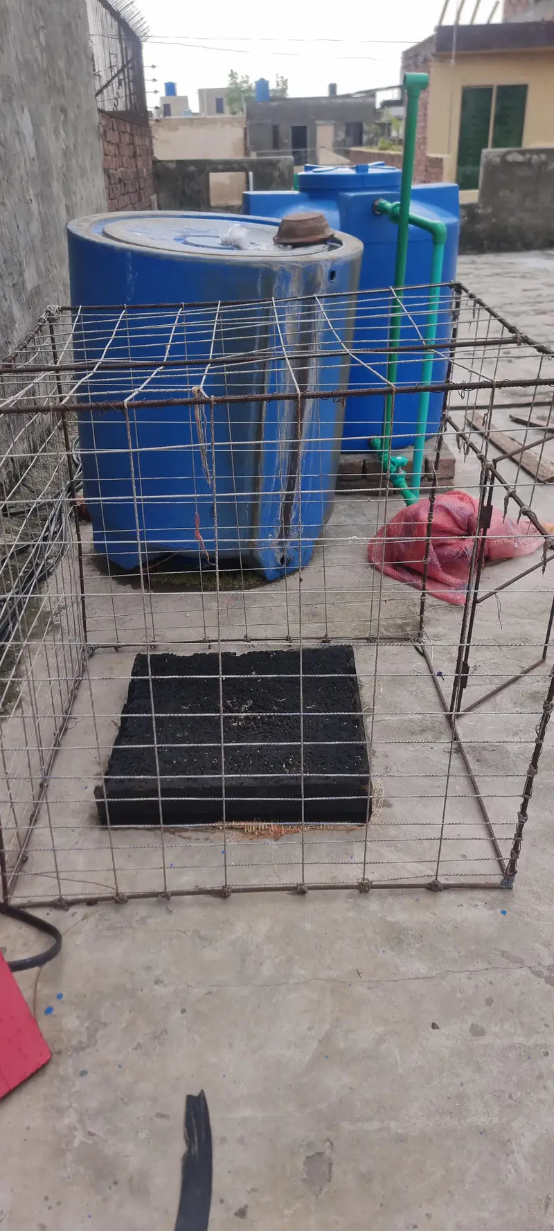 iron cage — photo 3