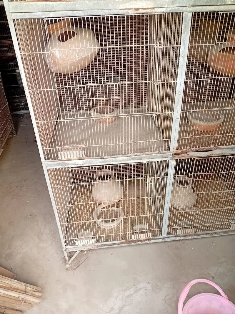 Heavy Angle Cages — photo 2