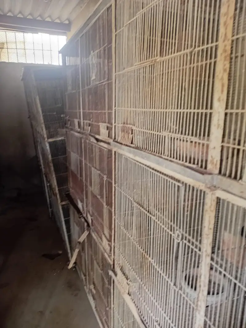 Heavy Angle Cages — photo 3