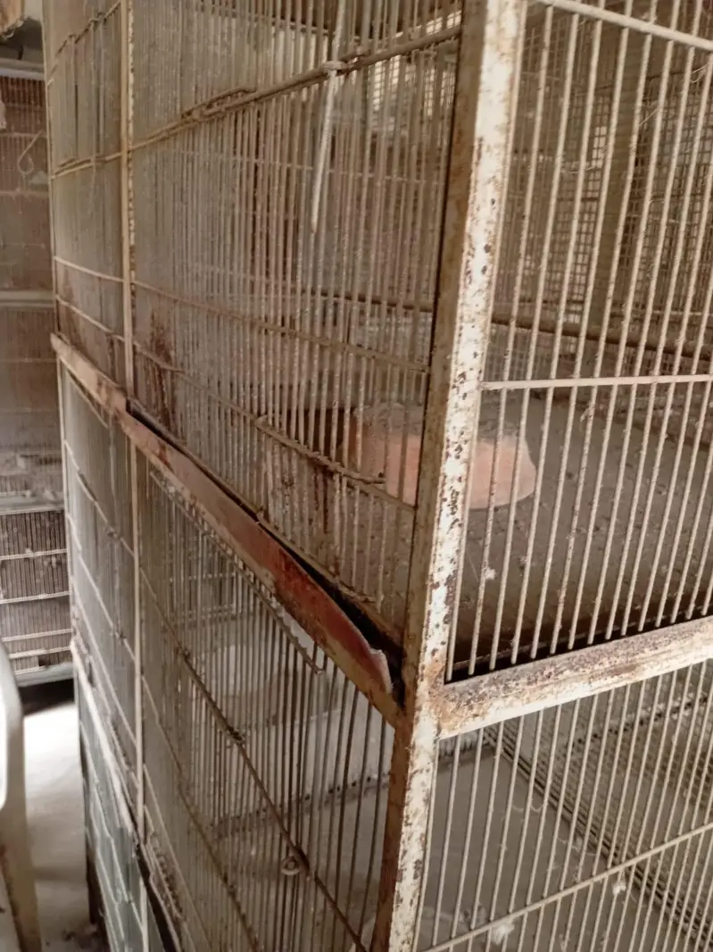 Heavy Angle Cages — photo 4