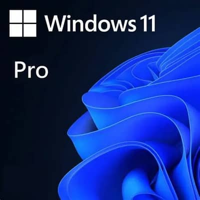 SOFTWARE SERVICES FOR WINDOWS AND MICROSOFT OFFICE