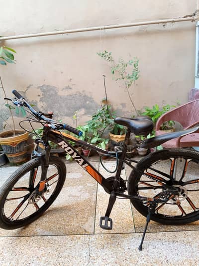 Royal company Steel Rim  sport cycle good condition only 2 months use