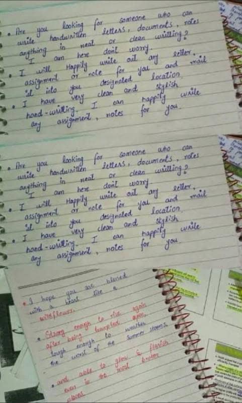 Assignment writing 0