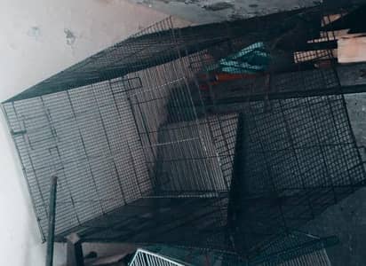 Cages with good length and width.