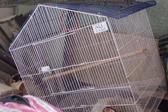 Cages with good length and width. — photo 2