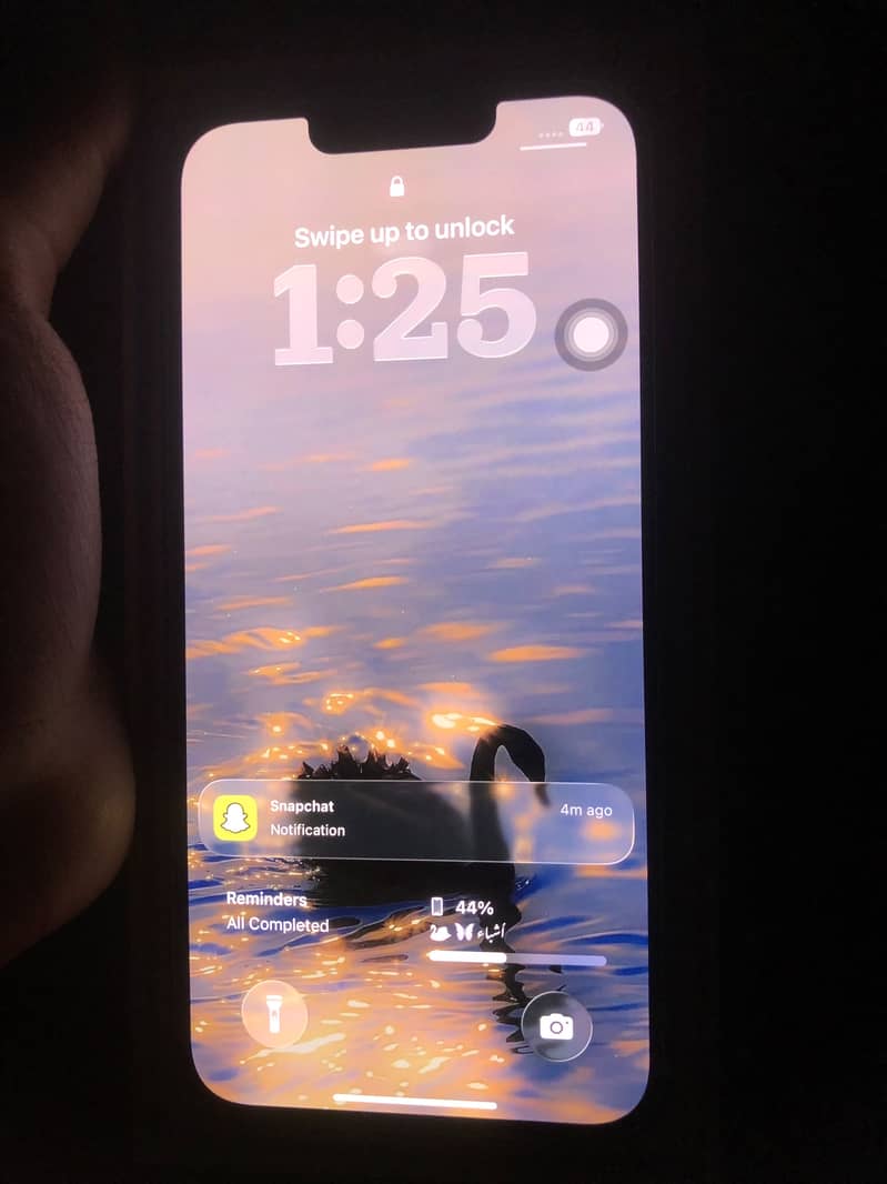 Apple iPhone 13 0