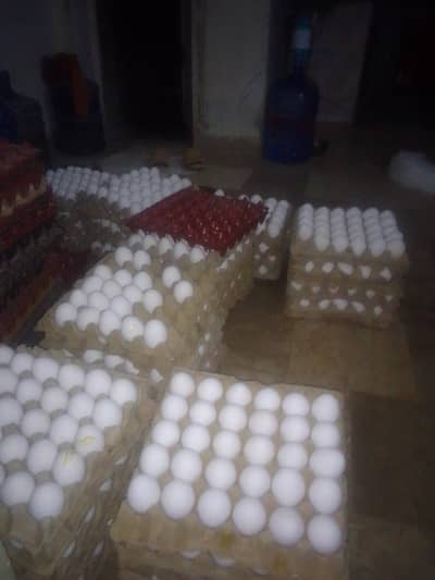 faizee fresh eggs