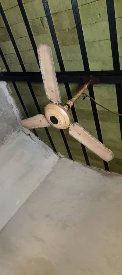 ceiling fans