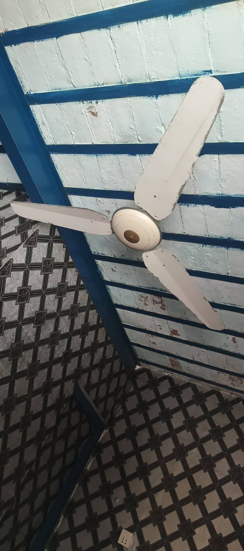 ceiling fans 1