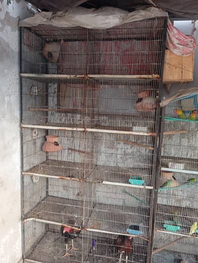 2cage