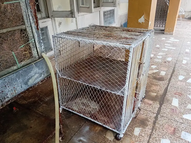 Chicken Cage | Poultry Cage | Brooder | Astrolorp Hens — photo 2