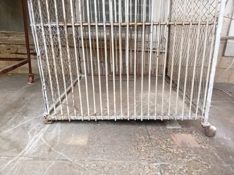 Chicken Cage | Poultry Cage | Brooder | Astrolorp Hens — photo 9