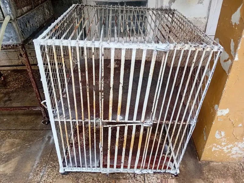 Chicken Cage | Poultry Cage | Brooder | Astrolorp Hens — photo 10