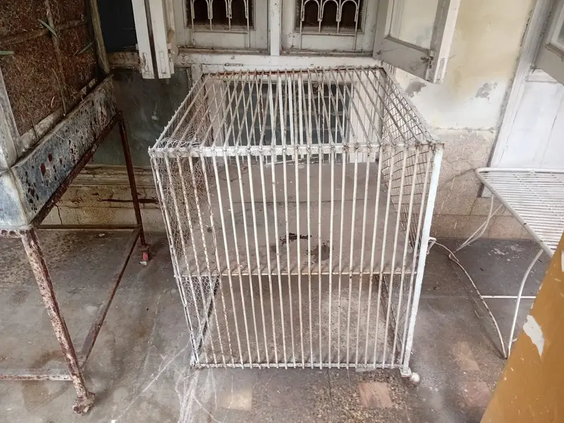 Chicken Cage | Poultry Cage | Brooder | Astrolorp Hens — photo 11