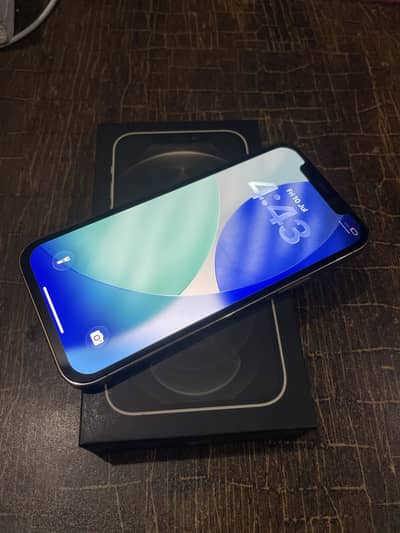 Iphone 12 Pro dual physical Pta approved