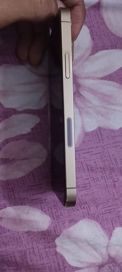 Apple iPhone 12 Pro