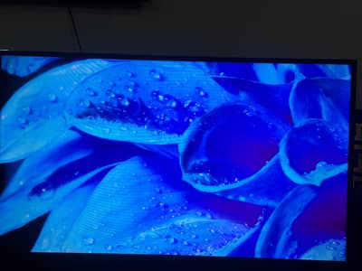original TCL 49 inch's android led tv