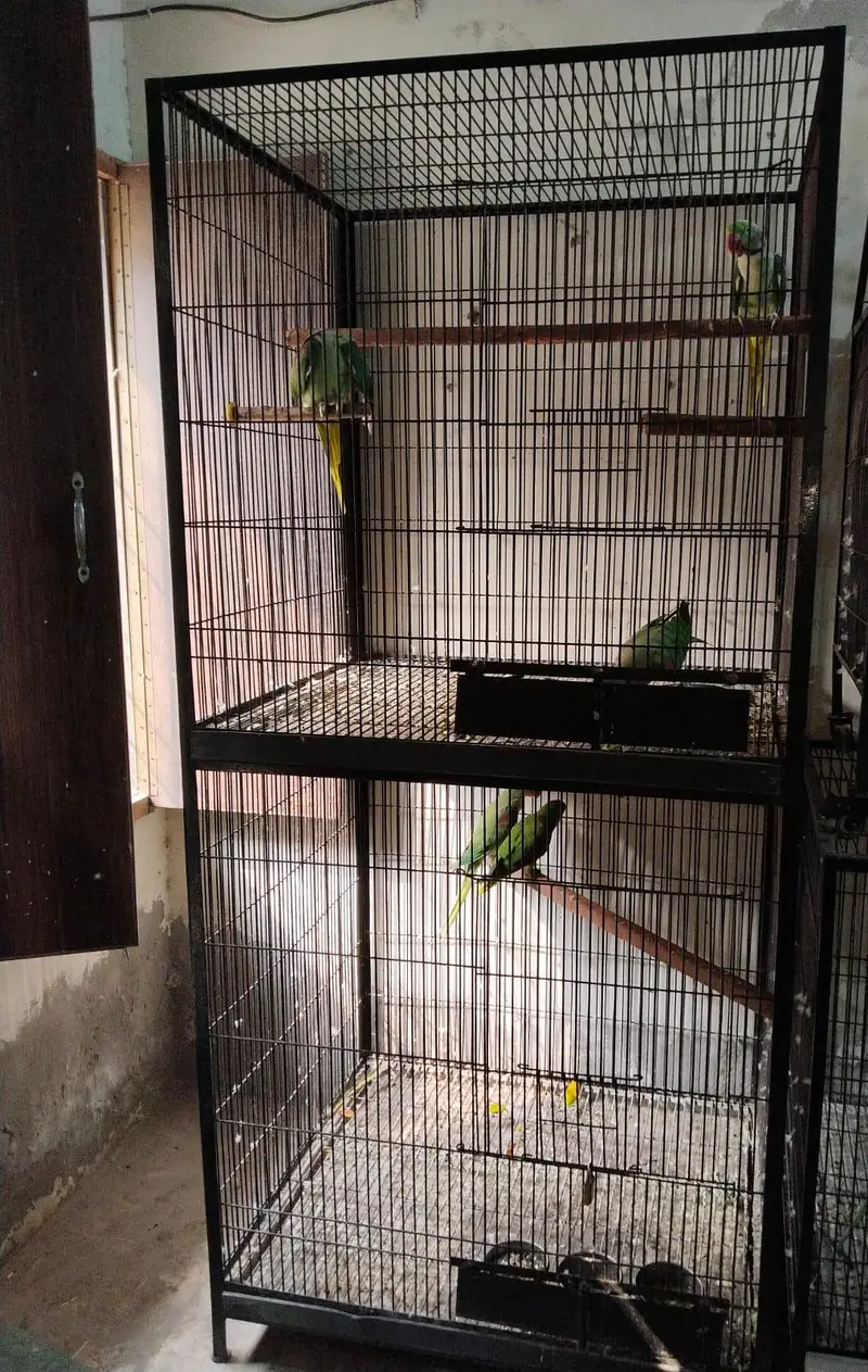 Raw parrot breeding cage — photo 7