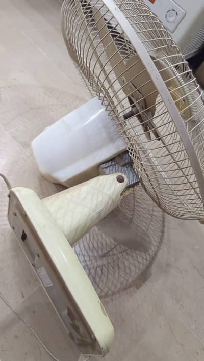 Royal Pedestal Fan | Fully working | Good Condition