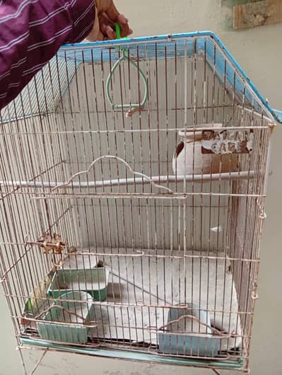pinjra for sale