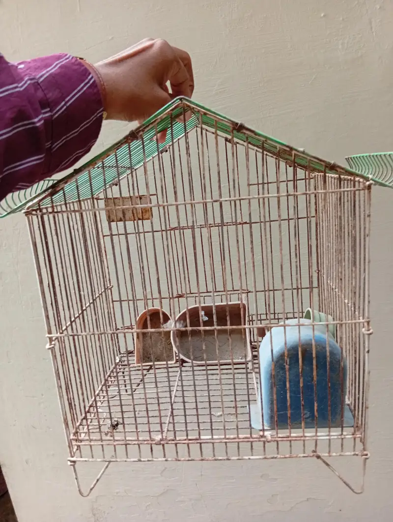 pinjra for sale — photo 2