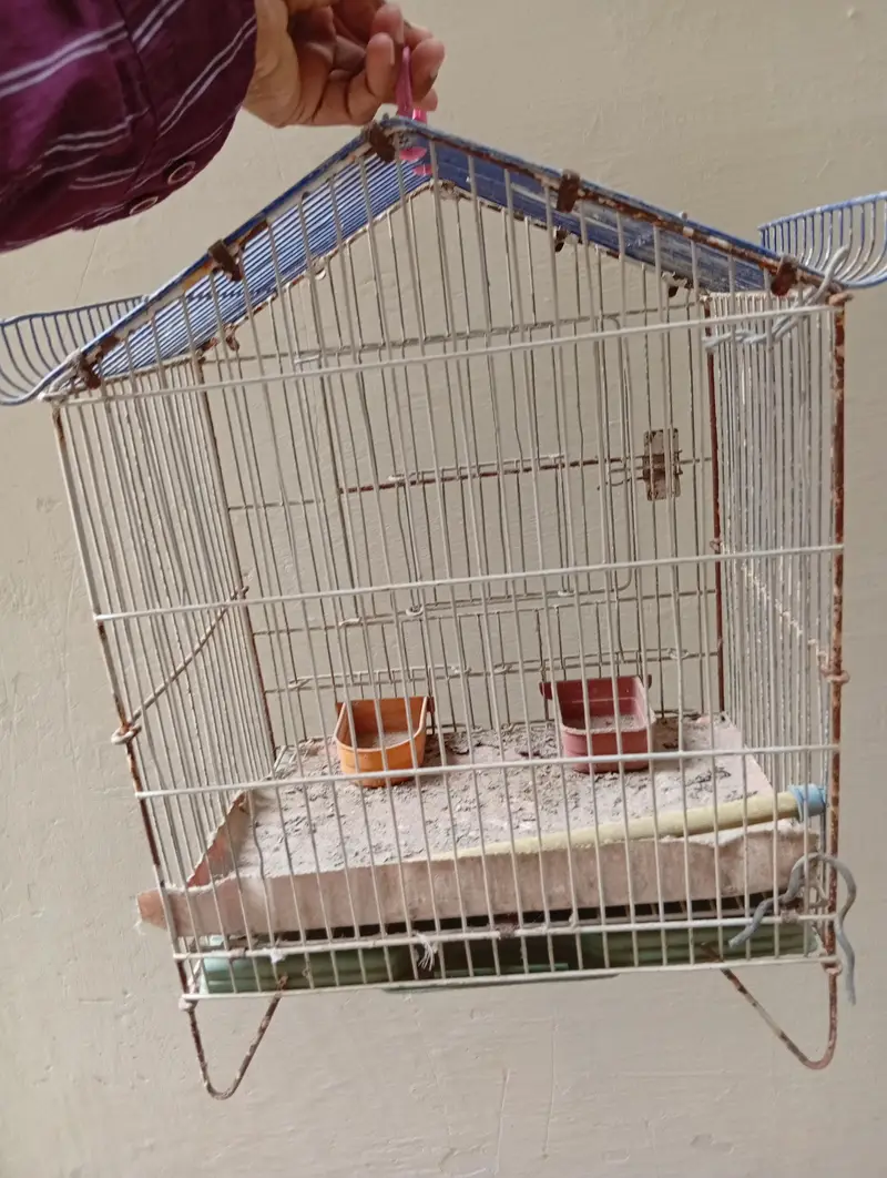 pinjra for sale — photo 3