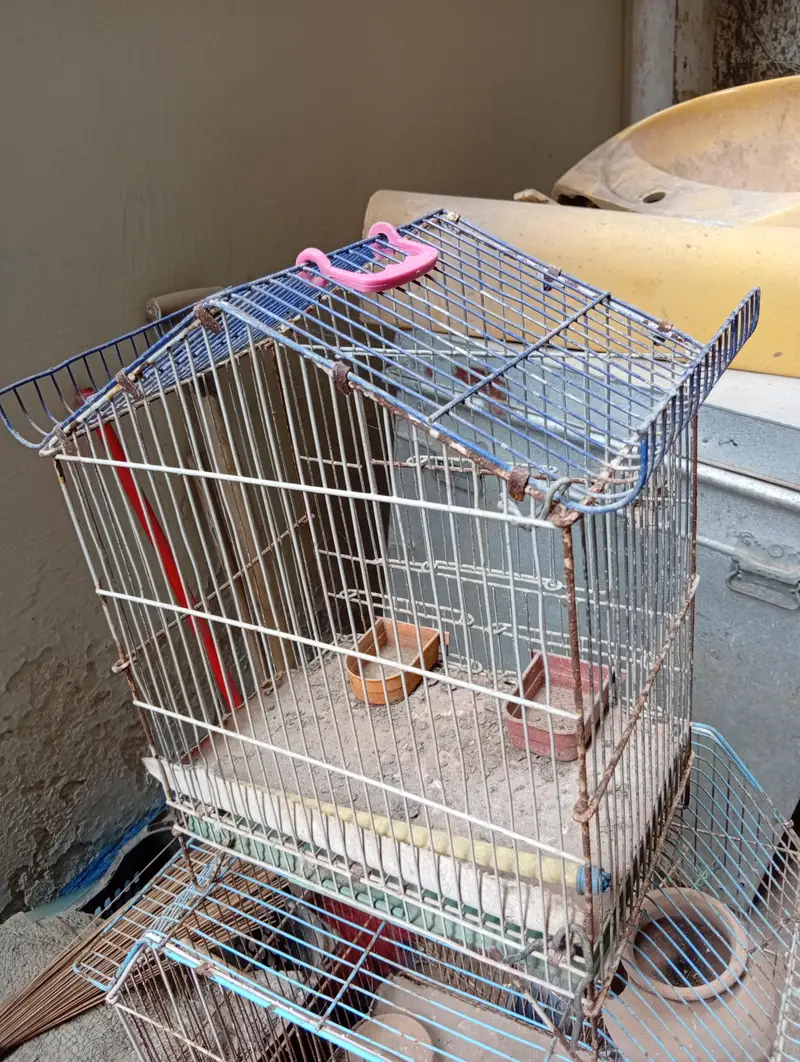 pinjra for sale — photo 4