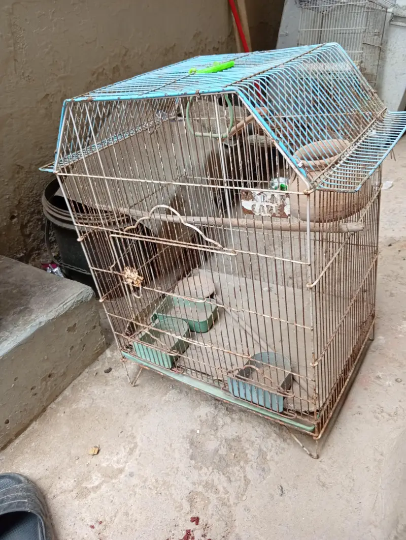 pinjra for sale — photo 5