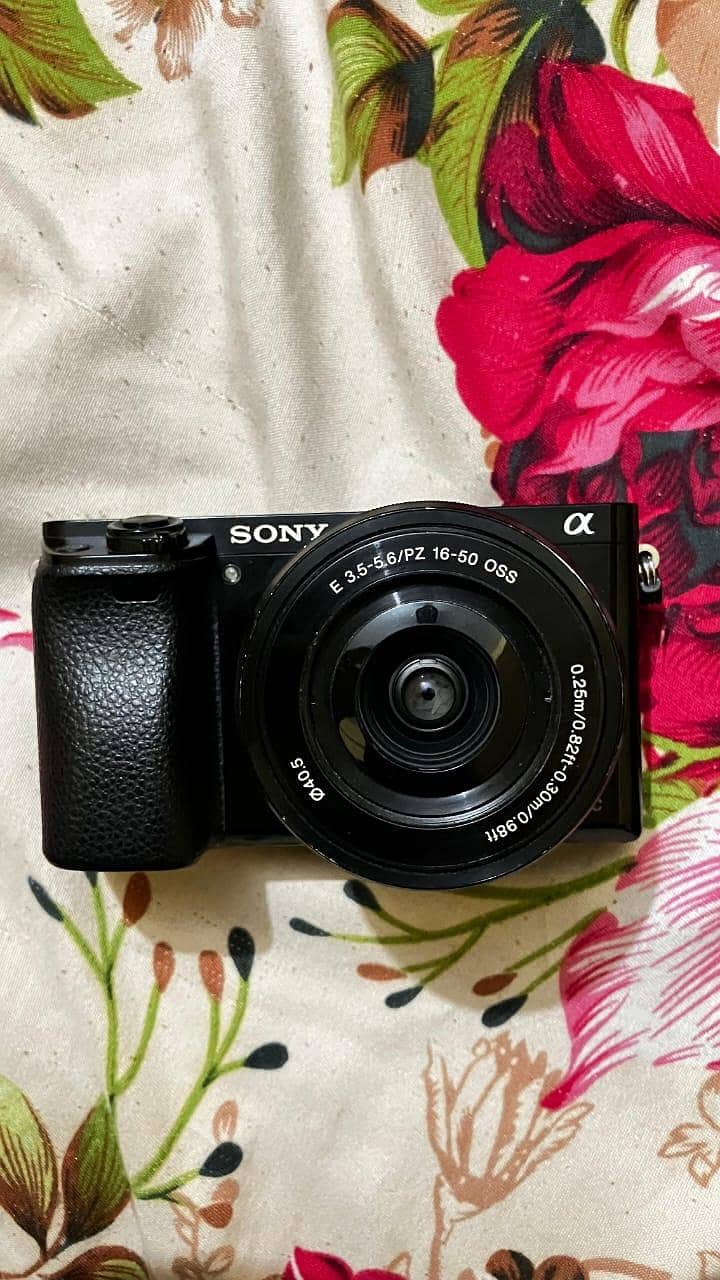 Sony Alpha 6000 1