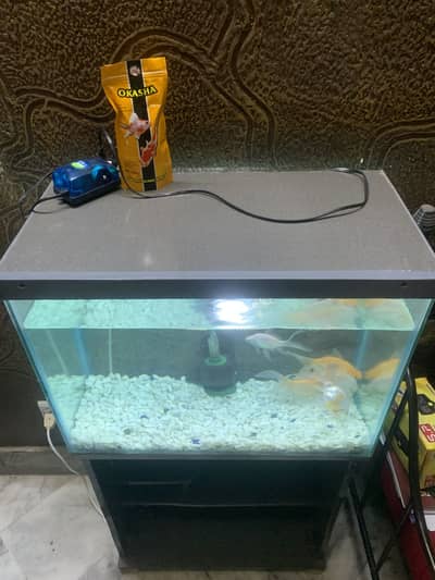 2ft Fish Aquarium