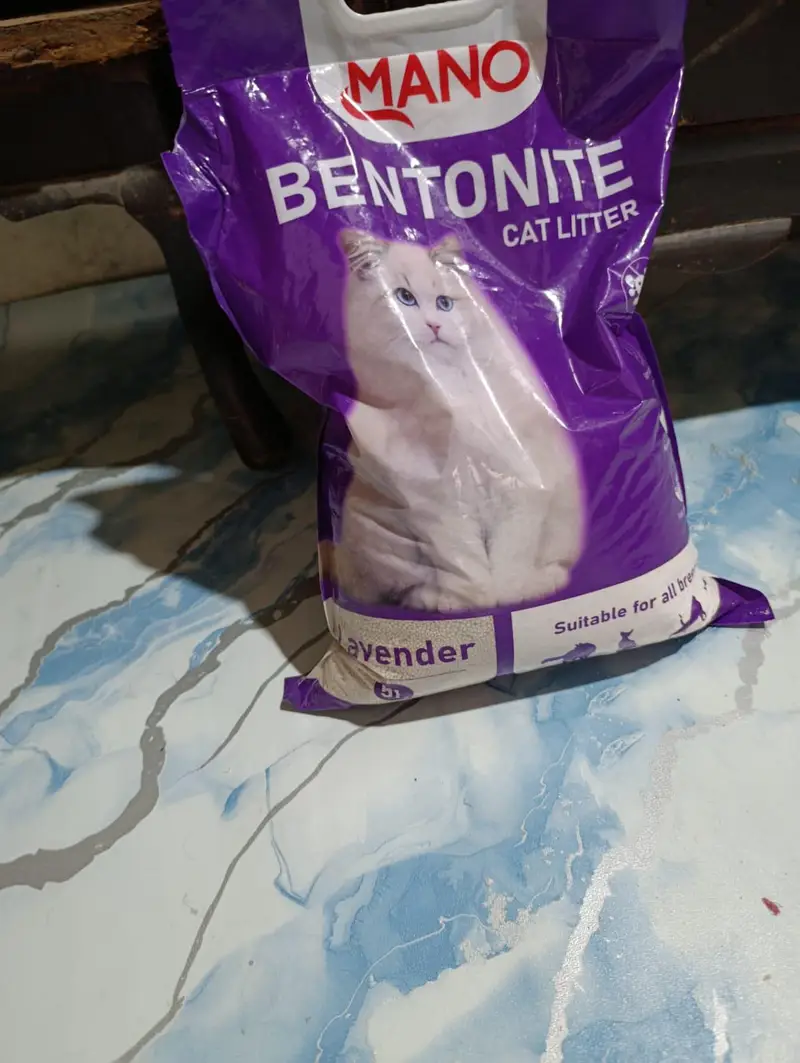 cats muds — photo 2
