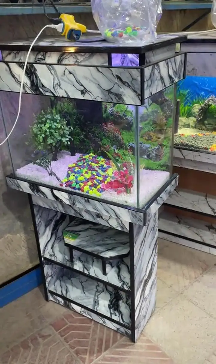 Fish aquarium wholesale price 03104016778 — photo 3