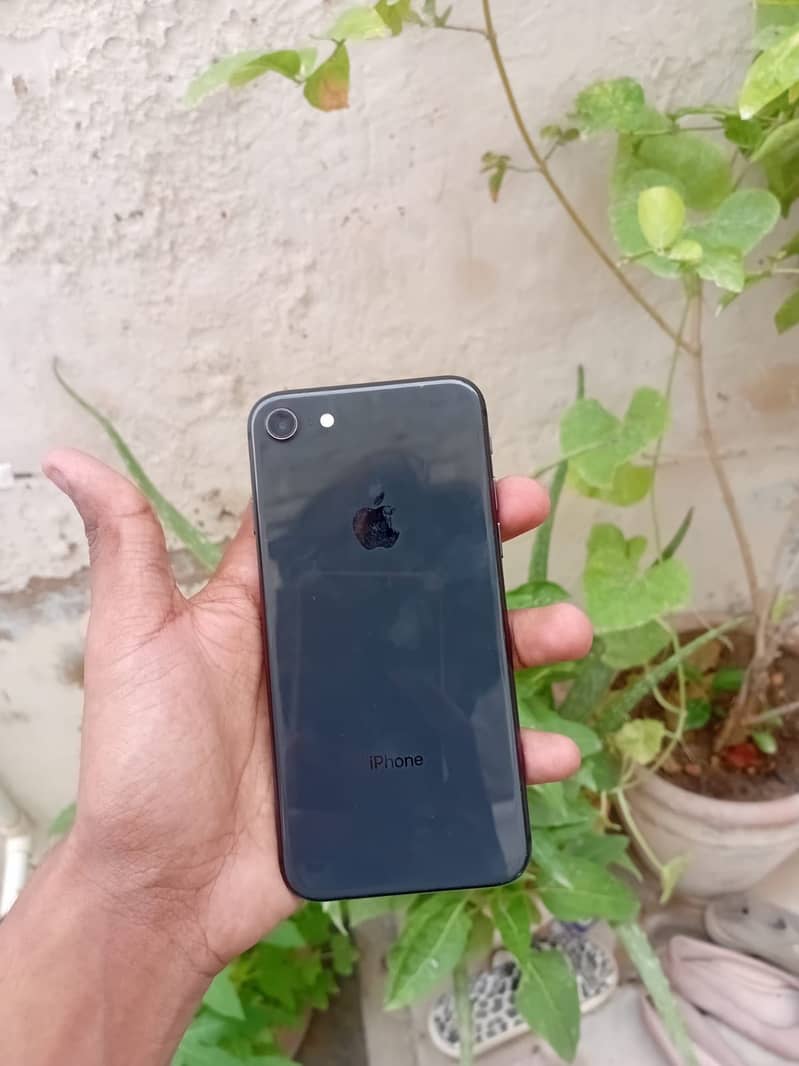 iPhone 0